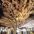 엔유(NU) 피씨방 이미지