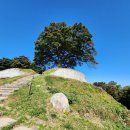 임천면행정복지센터 앞 주차장 이미지