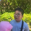 인성품태권도장
