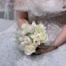영상으로 만나는 가족 오페라<마술피리> | 팔레드오페라 가르니에홀 본식 후기💍 (+사진 있음)