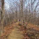 원주굽이길 원10코스 바람머리산길 이미지