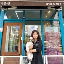 옥정강아지 이미지