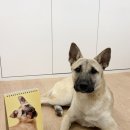 포인핸드 건강검진센터 이미지