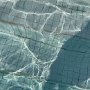 캄포하우스 이미지