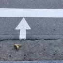 뉴관악연세의원 이미지