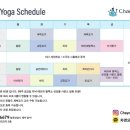 차앤요가
