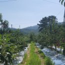 행복애농원 이미지