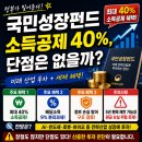 엔비디 | 국민성장펀드 소득공제 40%, 단점은 없을까?