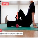 핏타운 이미지