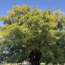 대공원 한우 이미지