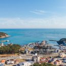 마루하우스 이미지