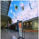 한국까르푸(주)면목지점 | [대만 가오슝 가족여행] 2025년 추석 4박 5일 자유여행 1일차 (1) 🐑🐏👾🎶