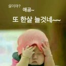 사라네 - 마포구 | 사라네