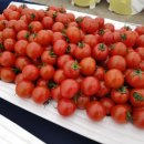 성심푸드 이미지