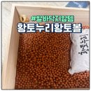 햇빛누리 | 내돈내산 황토누리 국내산 황토볼 라지 지압세트 사용후기
