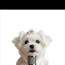 대야면 행정복지센터3층 이미지