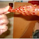 울릉도꽃새우 이미지