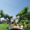 오세창농장 이미지