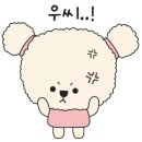 컨스턴트