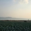 서해랑길 24코스 이미지