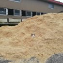 자라목장 이미지