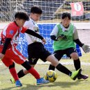 [청양군수배 전국 풋살대축제] 칠갑산 단풍 아래서 풋살 한마당 '건강 레벨업' 이미지