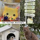 고양이마을 | 대만 허우통 고양이 마을 후기 / 타이베이에서 허우통 가는 방법