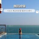 호텔더스테이 | 해운대숙소 바다랑 닿은 디오브 해운대 호텔 엘본더스테이 후기