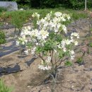 부리농장 이미지