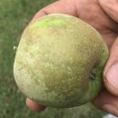 농민농약사 이미지