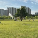이디야커피전주에코세병호점