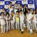 경희대 파란 태권도 이미지