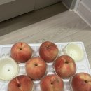 광인농장 이미지