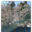 자연요양원 이미지