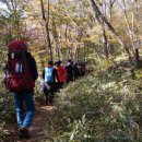 돌속농장 이미지