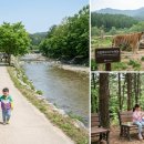 대길카정비 | [2026년 5월 연휴] 전국 눈치게임 성공 여행지 TOP30, 쌍둥이 아빠의 피땀눈물 리스트