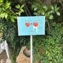 날 데려가주 개 | W5. 대구 비니비치스튜디오 : 웨딩촬영 후기