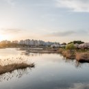 수원-1547 이미지