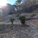 율곡천 1 이미지