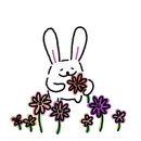 소망애견 이미지