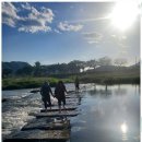 피츠로이가든 이미지