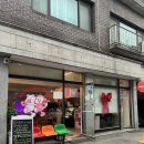 피그몽 | 화정 애견동반카페 피그몽 후기