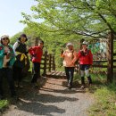 더따숨 휴일걷기(4월22일)-전북천리길 완주 고종시마실길1코스 이미지