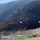 더마레 104 이미지