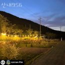 956 | 캠핑장 추천 산내956 후기 가격 예약 찐 후기 리뷰