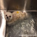 어컴퍼니 이미지