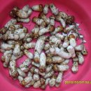 박실농장 이미지