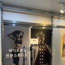 씨유 의정부운동장점 | 의정부 바디프로필 스튜디오 솔직후기, 권작가스튜디오 촬영 경험담