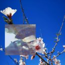 익금해수욕장1 이미지