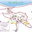 잣향기푸른숲 유아숲체험원 이미지